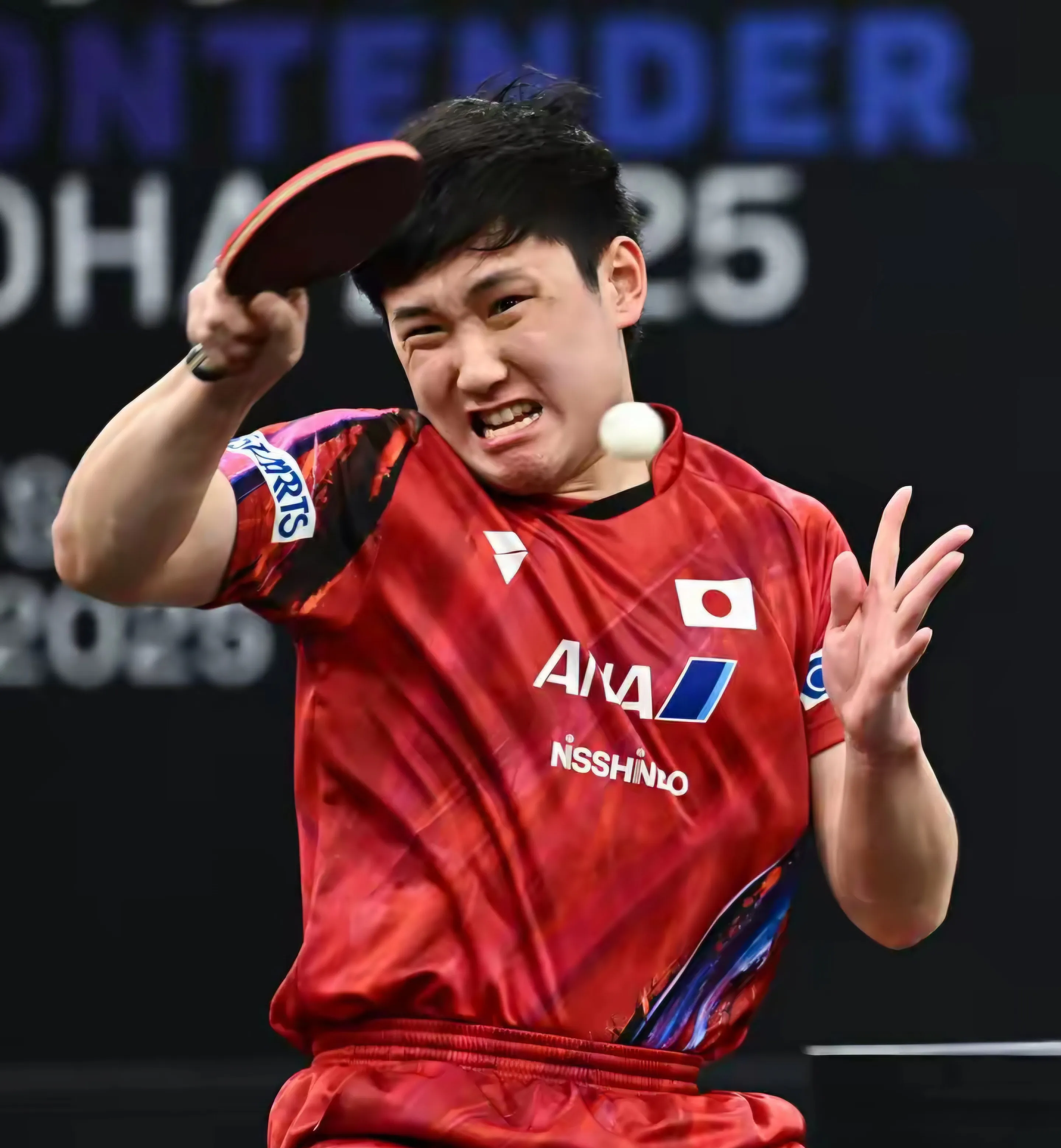 包含韩国队轻取法国队，张本智和刷新纪录的词条