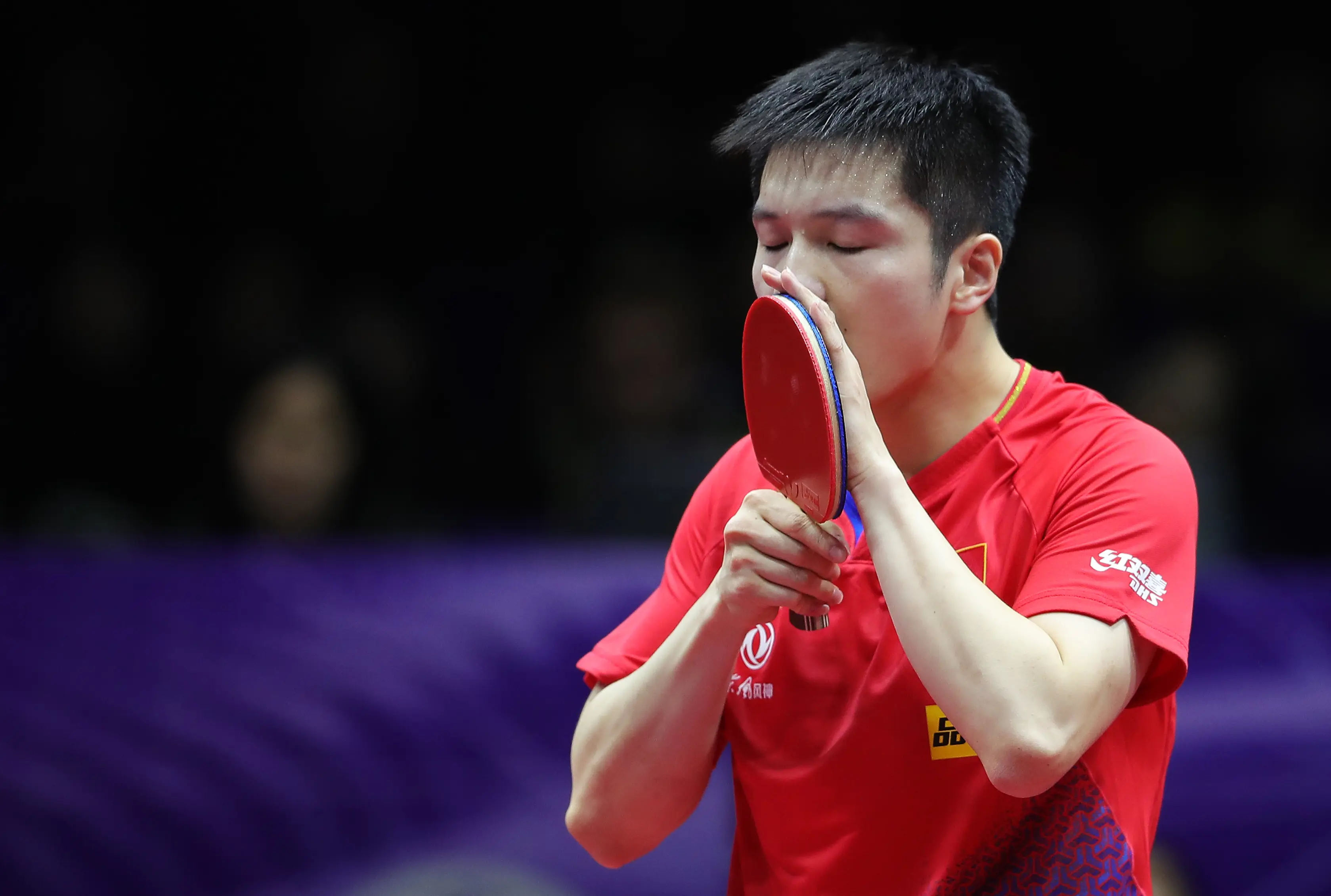 奥地利队力克日本队,樊振东扛起全队的简单介绍 奥地利队力克日本队,樊振东扛起全队的简单介绍