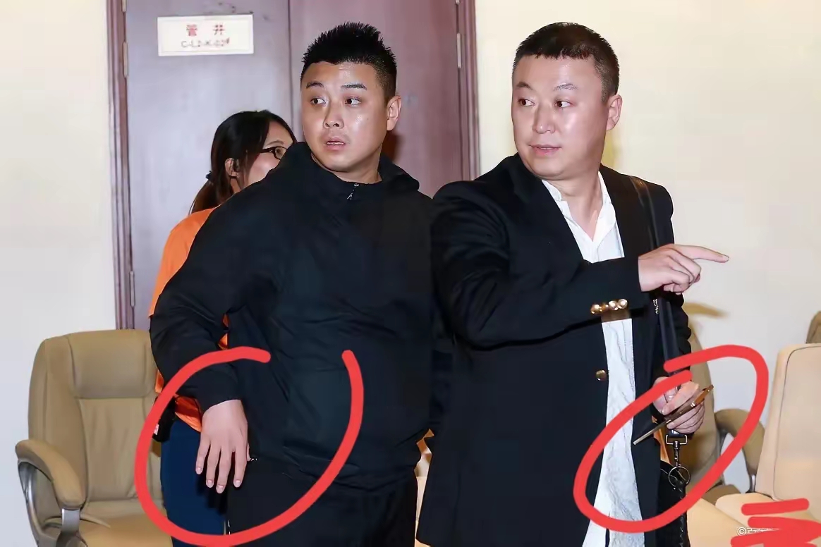 瑞典队碾压奥地利队,王皓统治全场 瑞典队碾压奥地利队,王皓统治全场