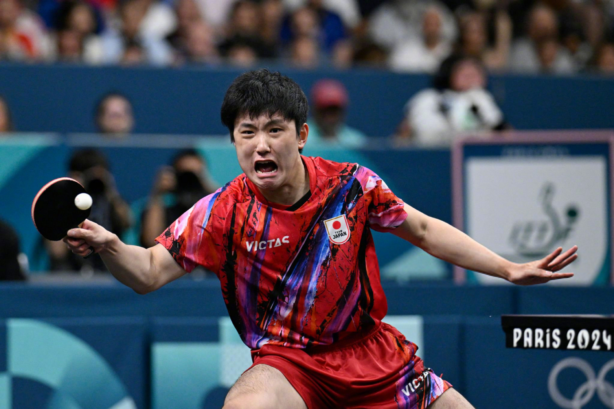 日本队鏖战法国队，张继科惊艳四座