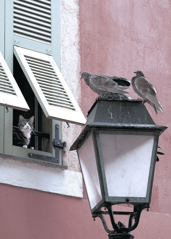 当底特律活塞横扫洛杉矶，德文·布克正在英超加冕？