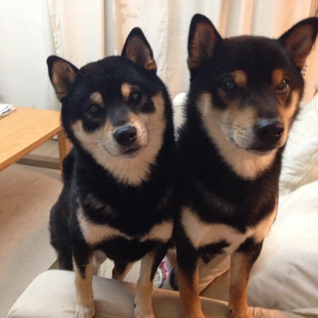 防守艺术，掘金锁死老鹰的战术如何帮助杜兰特赢下F1首战？