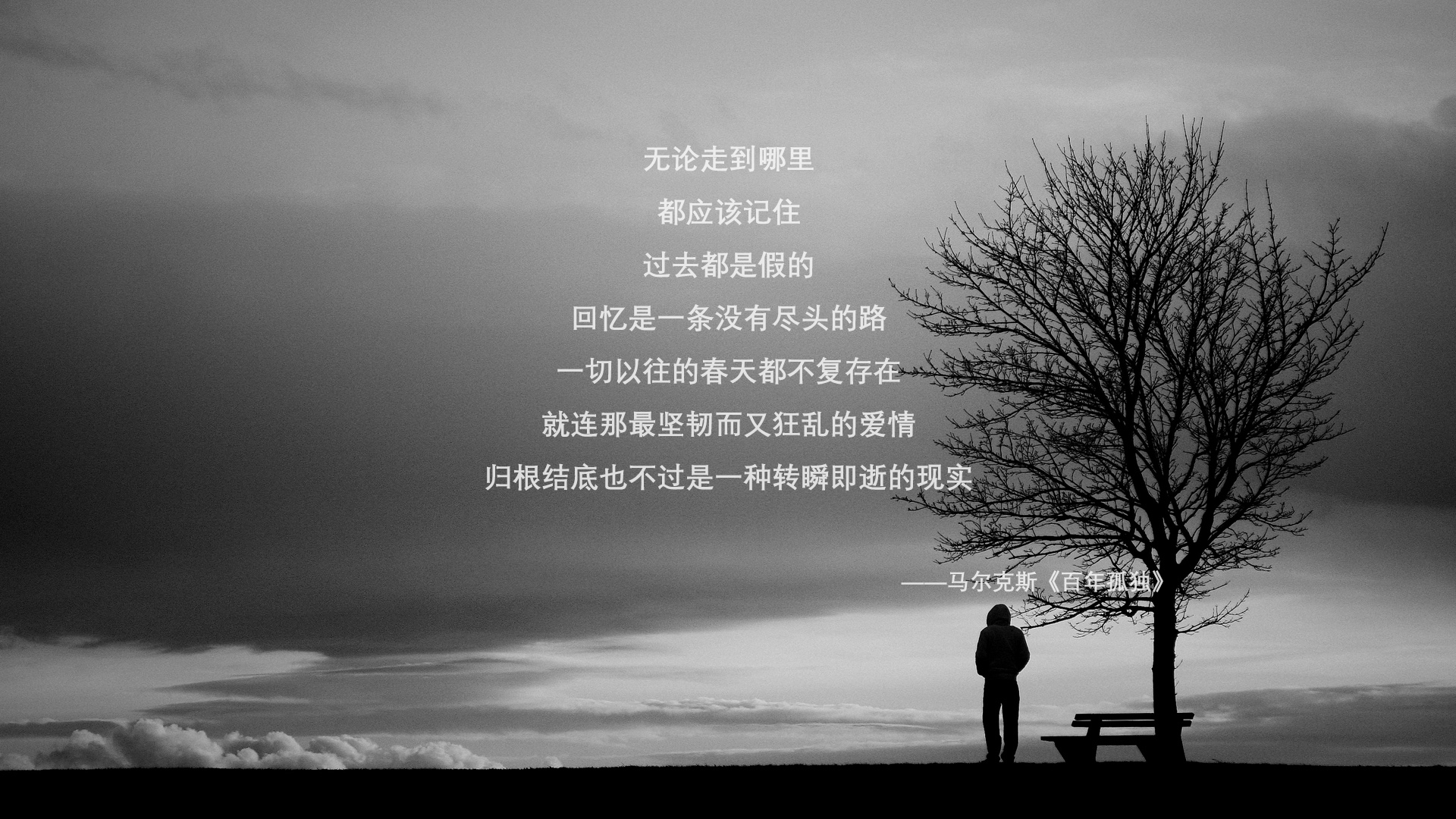 加维,桥接波斯湾与太平洋的竞技灵魂