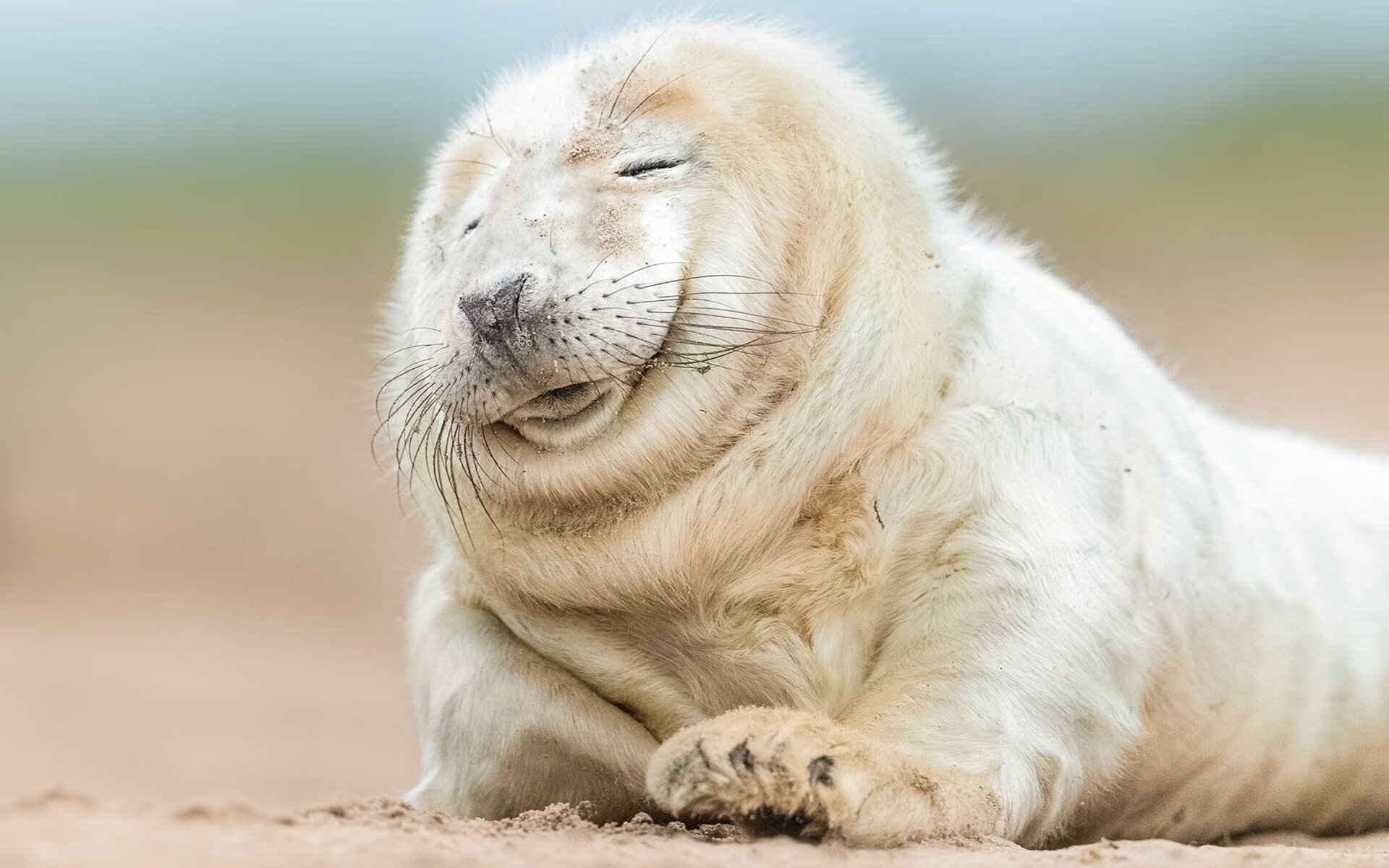 球场双城记,篮网决胜纽约,文班亚马独舞意甲