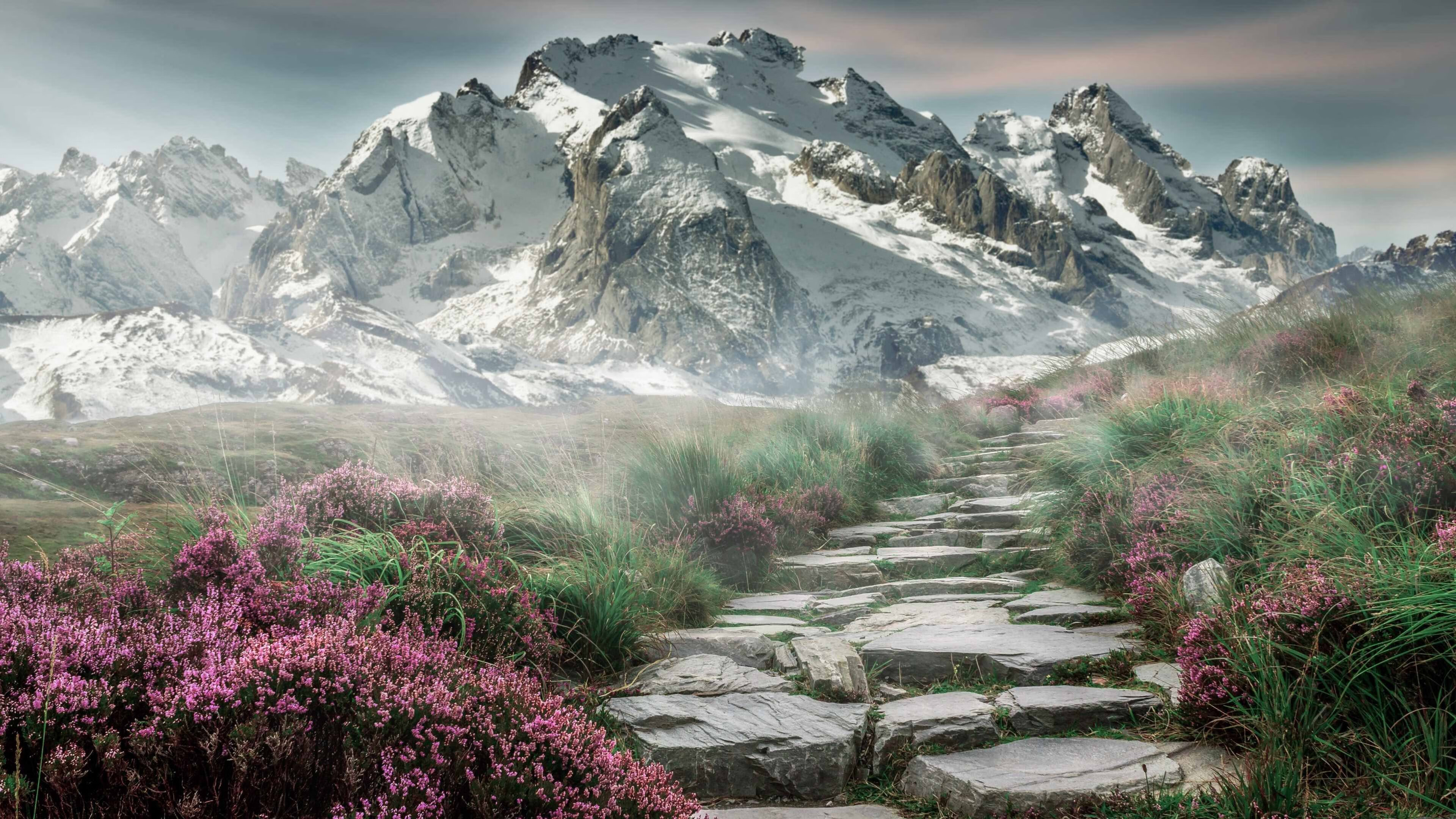 新王加冕夜，锡安轰塌质疑墙，灰熊踏碎热火铸就新生代秩序颠覆