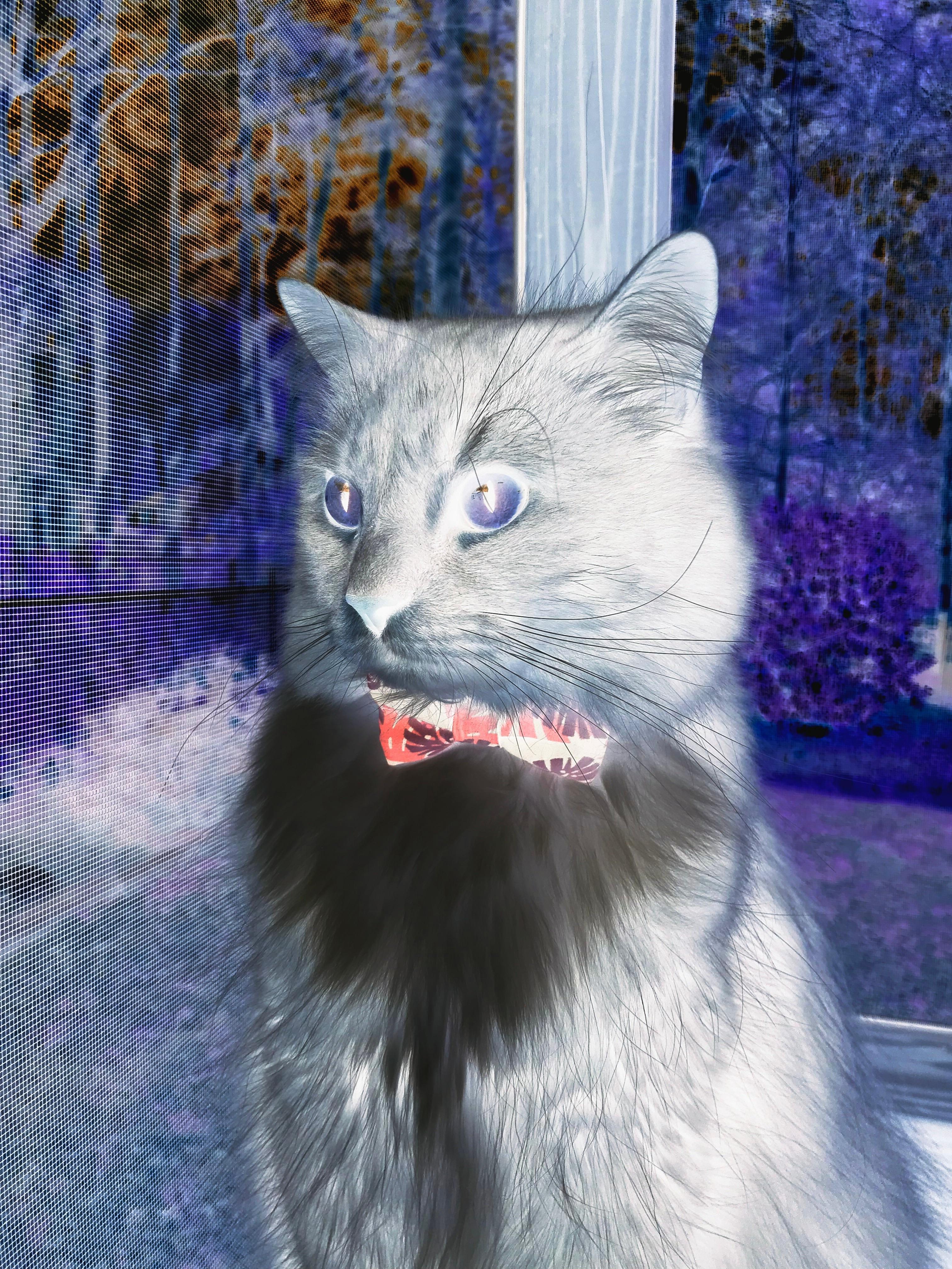 从圣保罗到弗拉基，卡塞米罗如何成为那不勒斯颠覆剧本的最后一块拼图