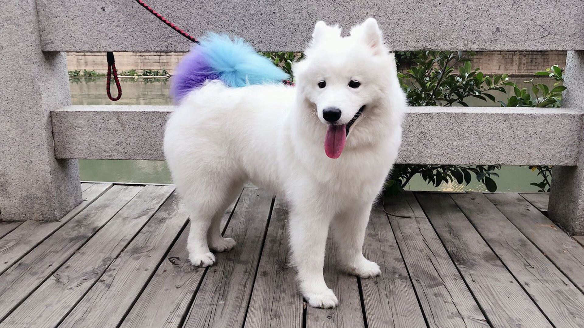 杜兰特死神降临！北京队一波流带山西