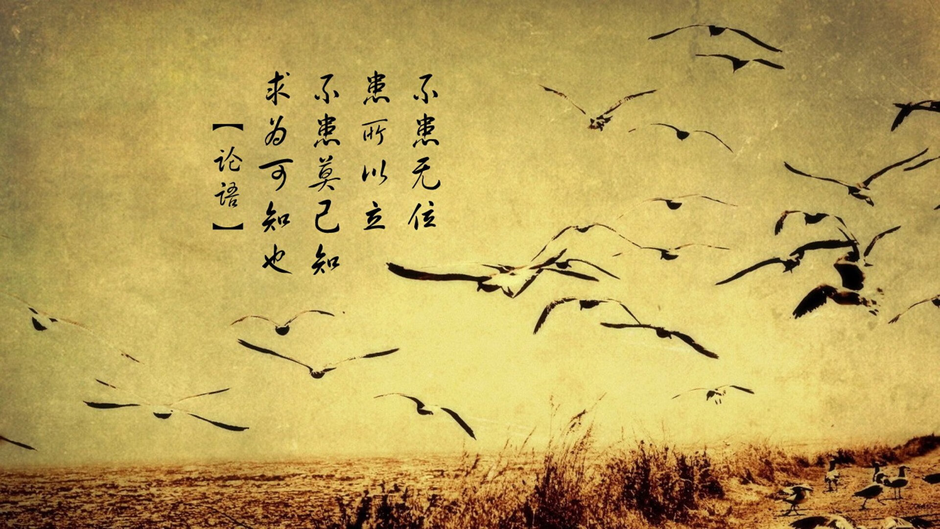 西决生死战之夜，冰封时刻，伊萨克用沉默的博弈成为唯一主宰